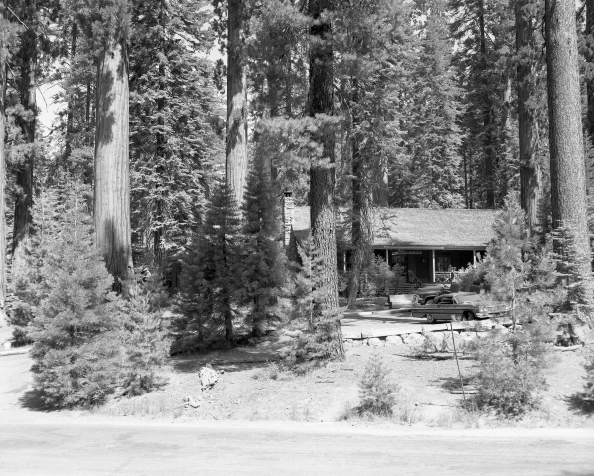 YOSE-MAGR Acc. 6. Concessions Facil. Big Trees Lodge. Yosemite, Mariposa Grove. *11 1/100 200' 127mm Tri-X.