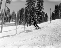 Badger Pass