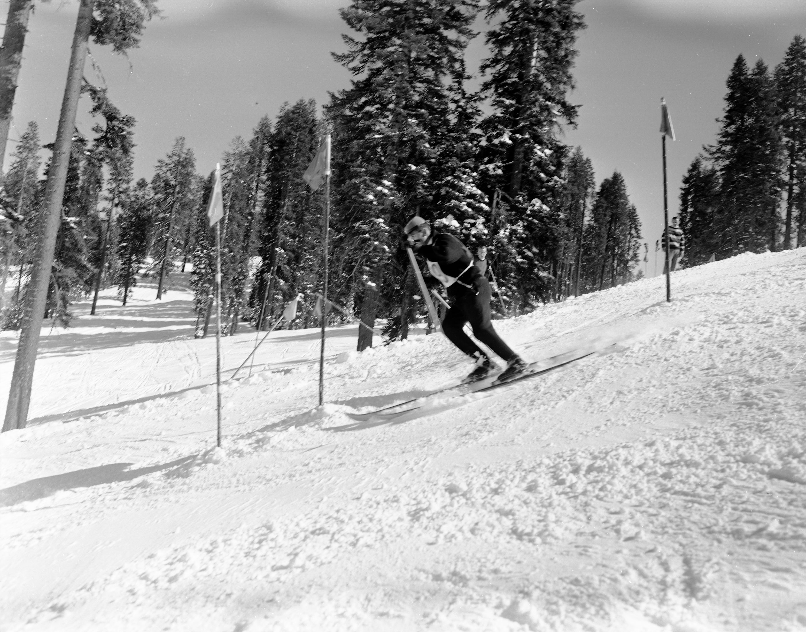 Badger Pass