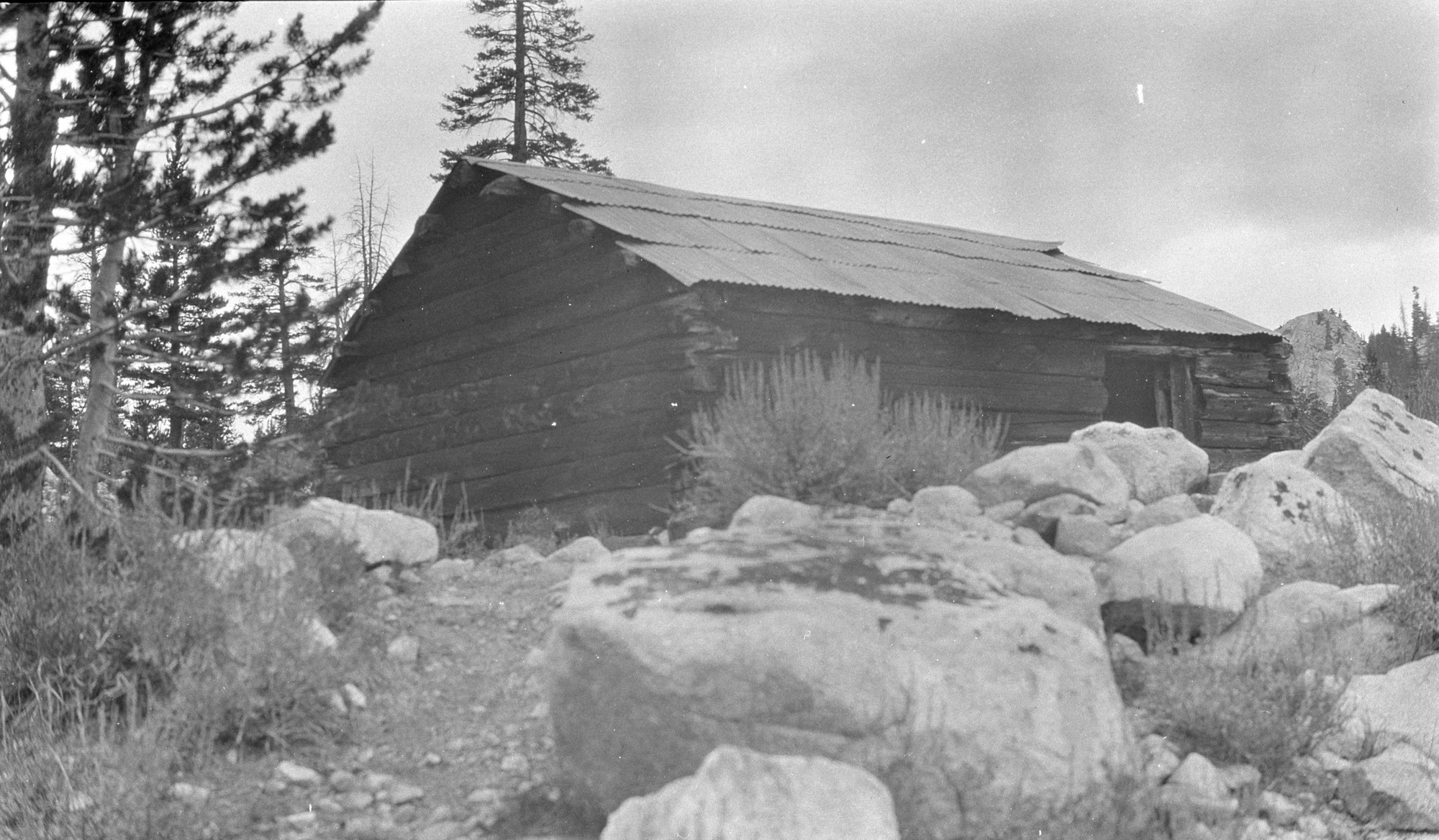 McCauley Cabin in Tuolumne Meadows. Typed on the back of the print: SIERRA CLUB: The old McCauley Cabin just south of the more modern Parson's Lodge; this cabin was constructed by the second owner - James McCauley. It is used as a store house by the club, and the roof is new.