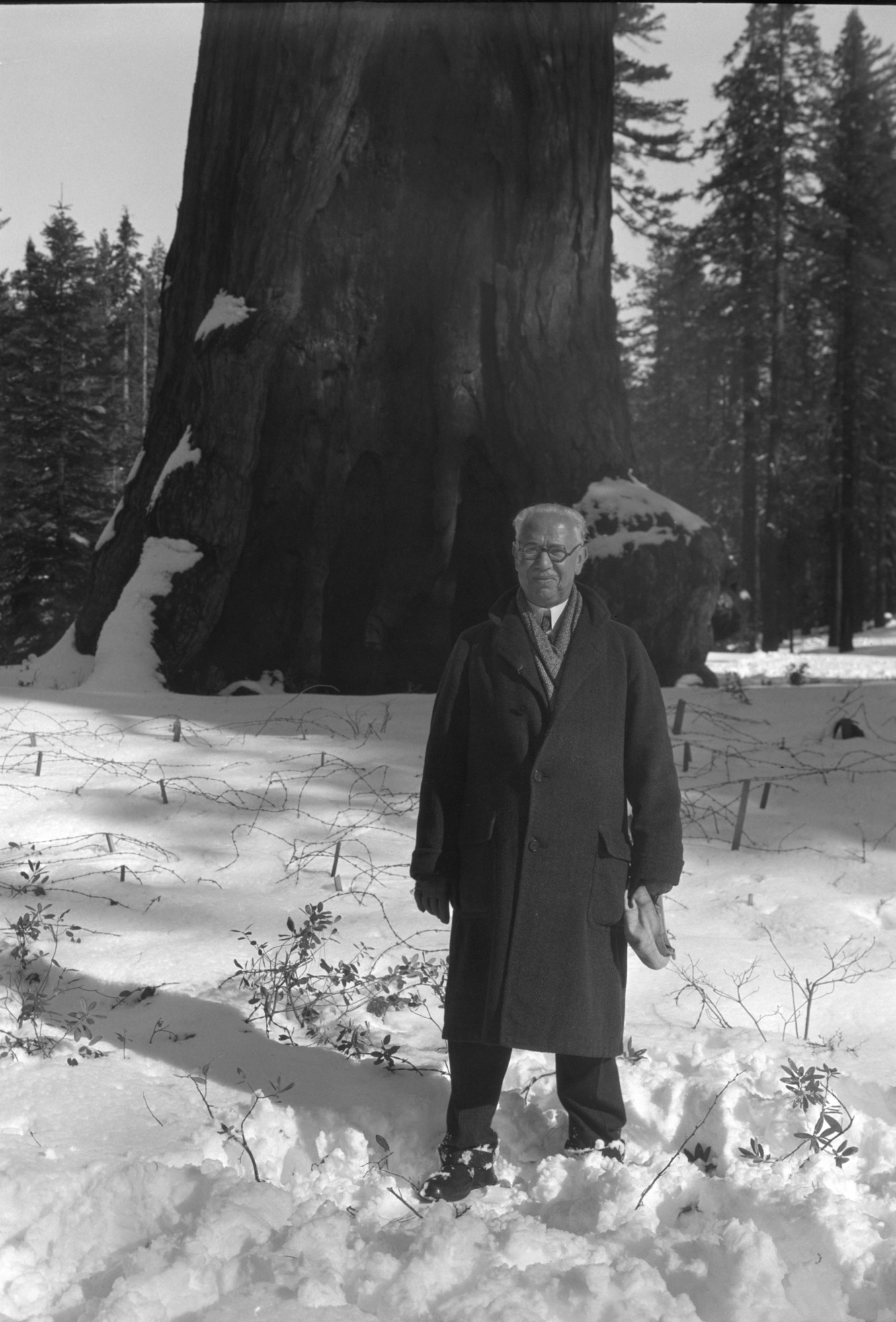 Gen. Ortiz Rubio, Ex-President of Mexico