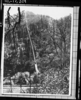 Copy Neg: J. Ernest, 1983. First incline across from El Portal shortly after completion. Operations began on August 2, 1912 after more than a year of construction. (Printed in Hank Johnston's Short Line to Paradise). Original print in the over-sized photo drawer in RL.