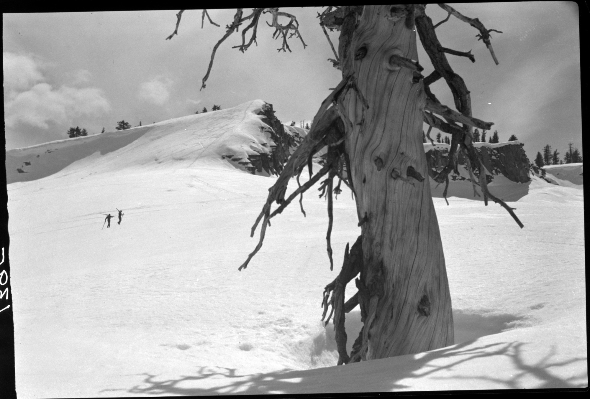 Ski fields at Horse Ridge near Ostrander Lake.
