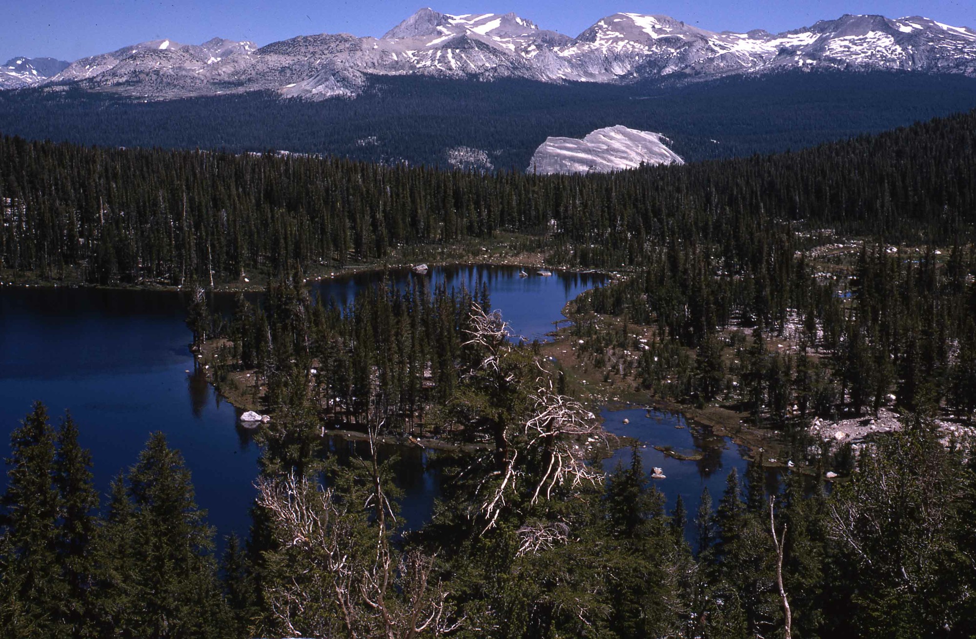 Elizabeth Lake