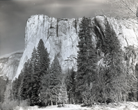 Valley Visitor Center Exhibit 10-8