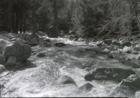 Yosemite Creek after CWA rock removal.