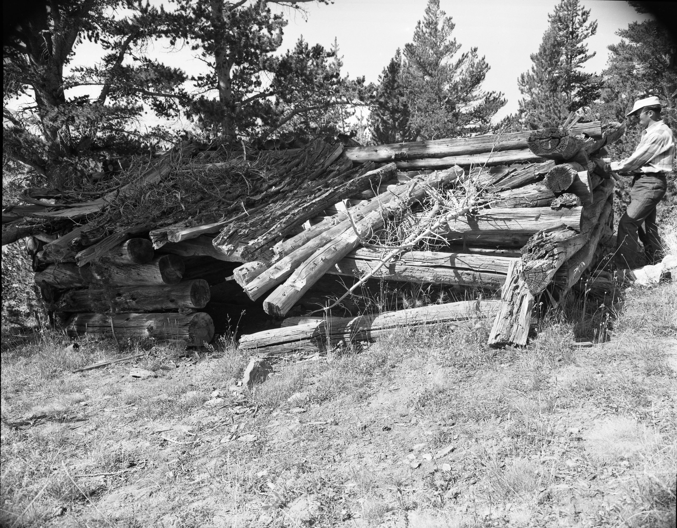 Pioneer cabin along trail to Mono Pass.