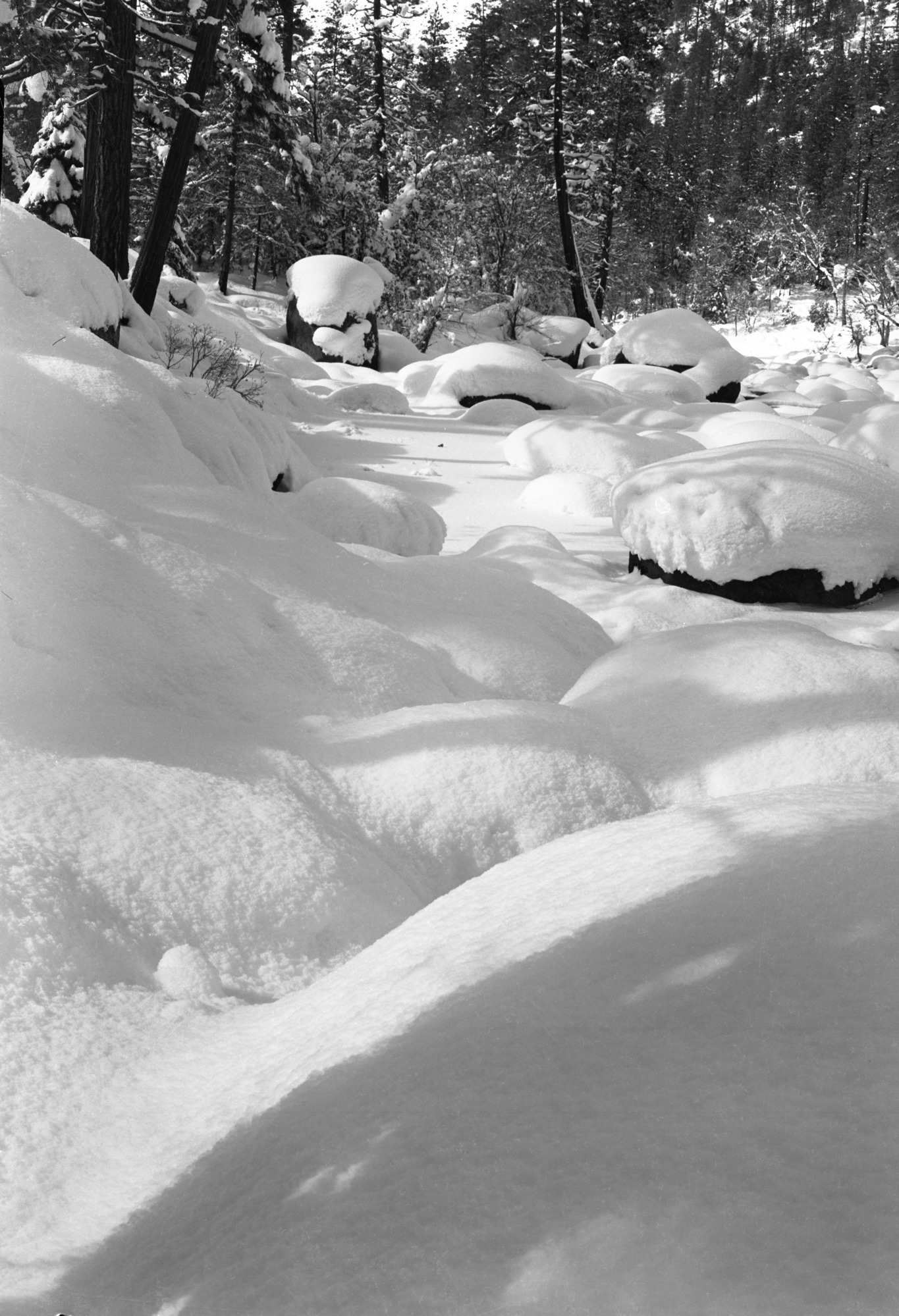 Snow on rocks near Sewage Plant (several negs). Job No. 101.