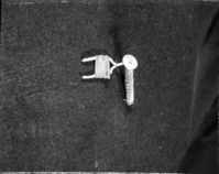 Decorated peg from Pomo woman's forehead band.