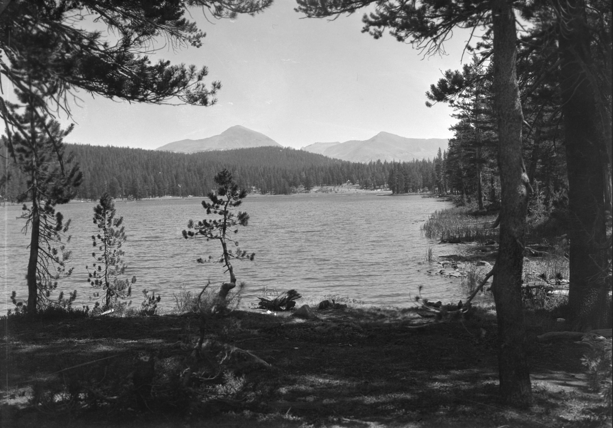 Mt. Dana & Mt. Gibbs in background.