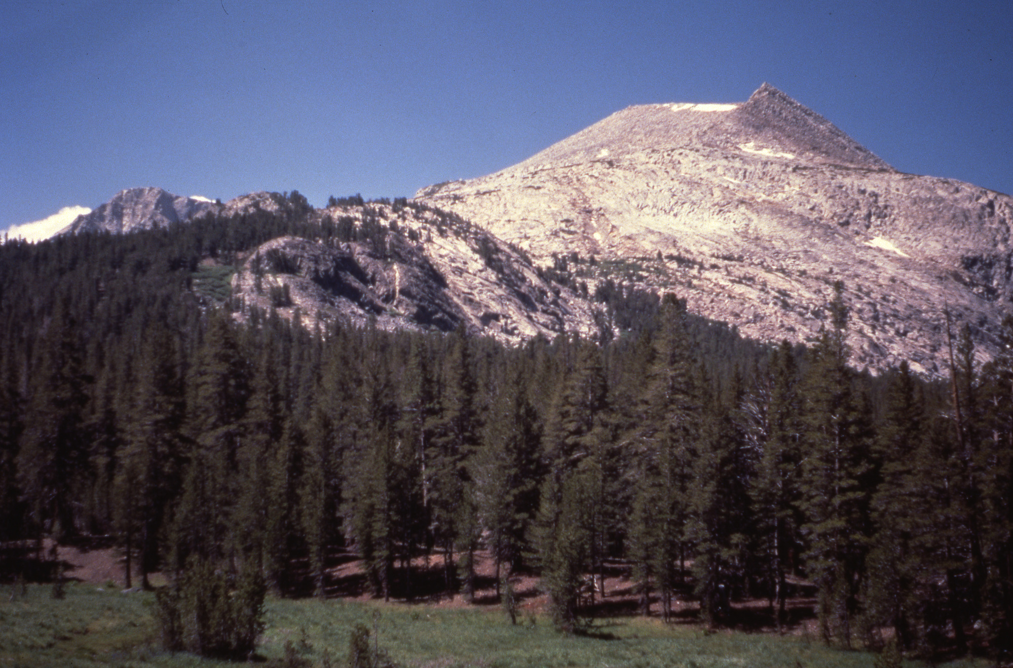 Tuolumne Meadows