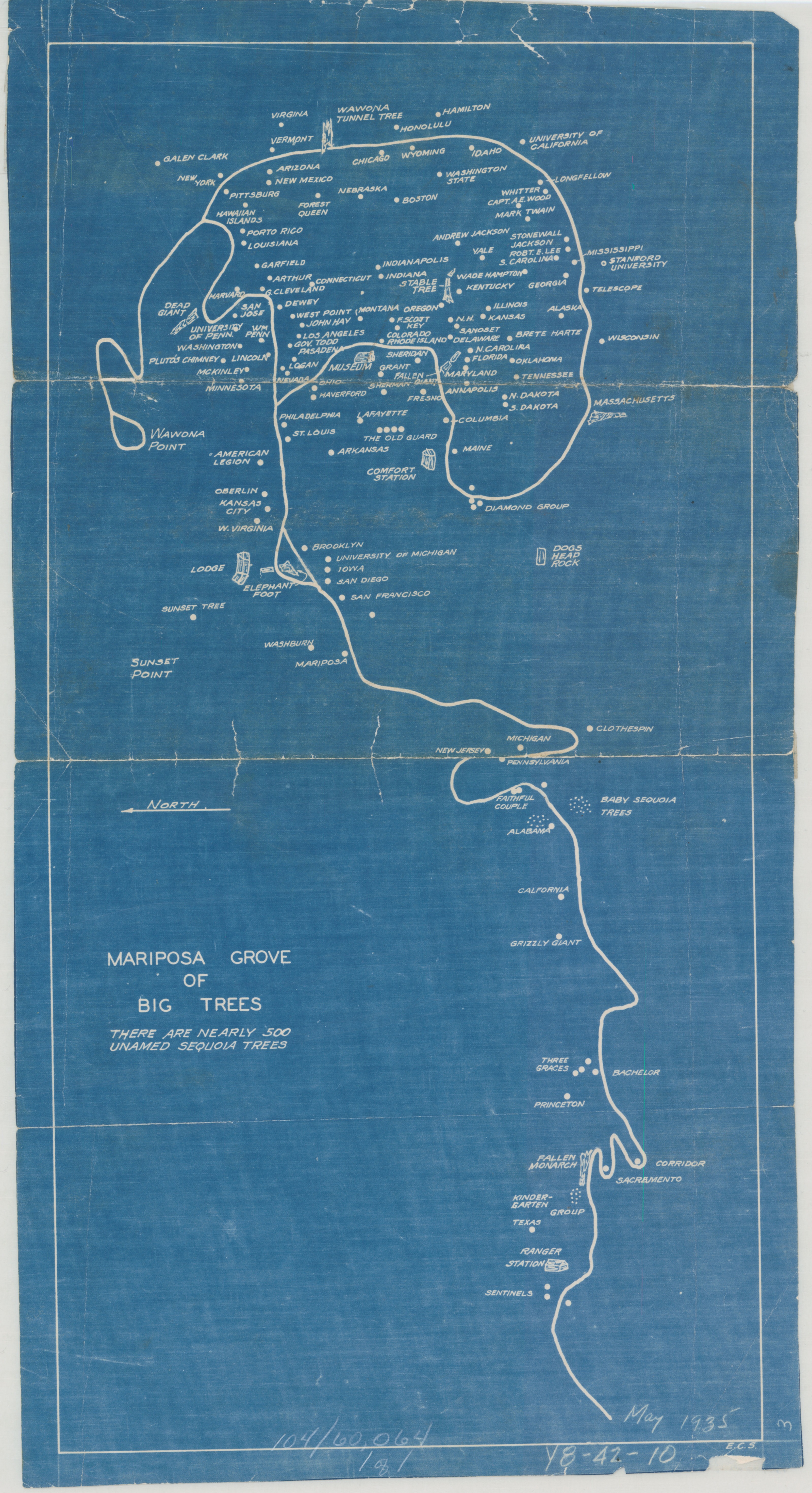 Mariposa Grove of Big Trees