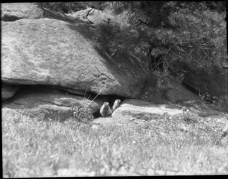 Glacier National Park
