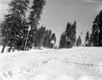 Badger Pass