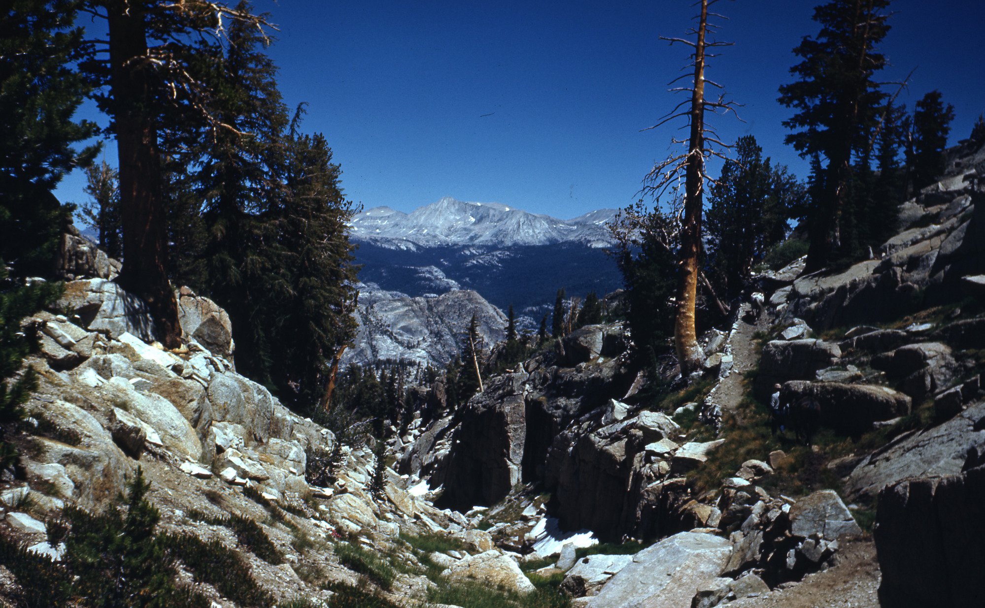 Tuolumne Pass