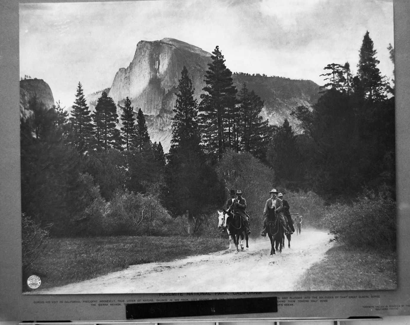 President Theodore Roosevelt and John Muir riding down Yosemite Valley near Camp 19, followed by Archie Leonard (behind John Muir) and Charles Leidig (behind T. R.), rangers. Original taen by Southern Pacific Photographer.