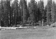 Construction work on Ski House and parking area at Monroe Meadow.