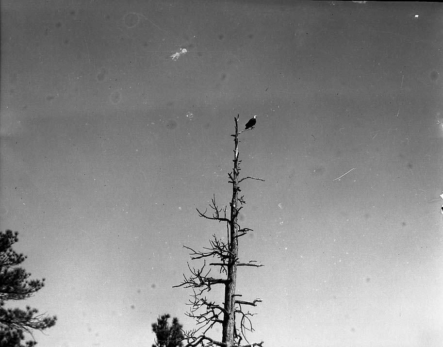 Lava Beds National Monument