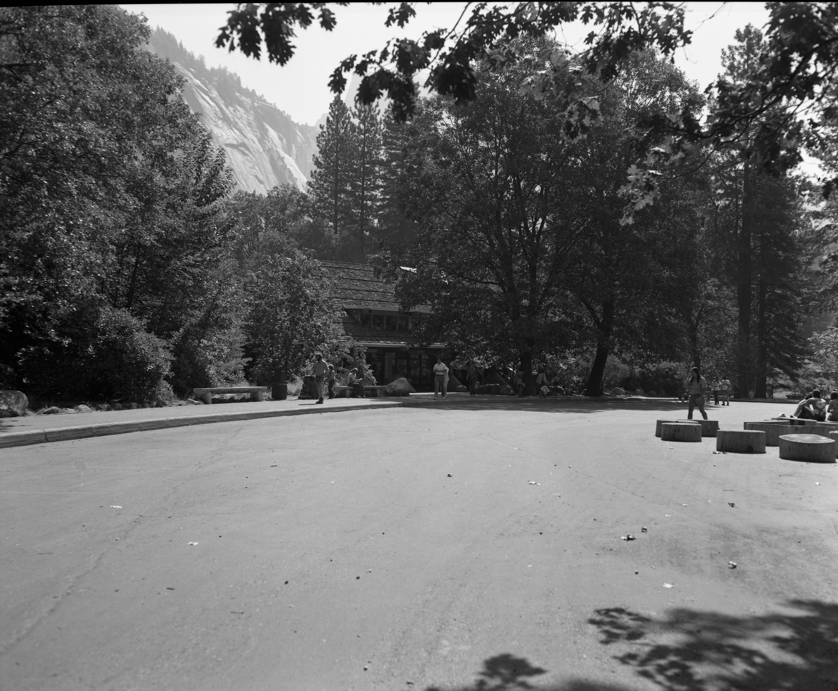 Park Concessions, Yosemite Valley.