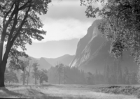 Looking across meadow toward Glacier Point with smoke from campfires drifting through trees