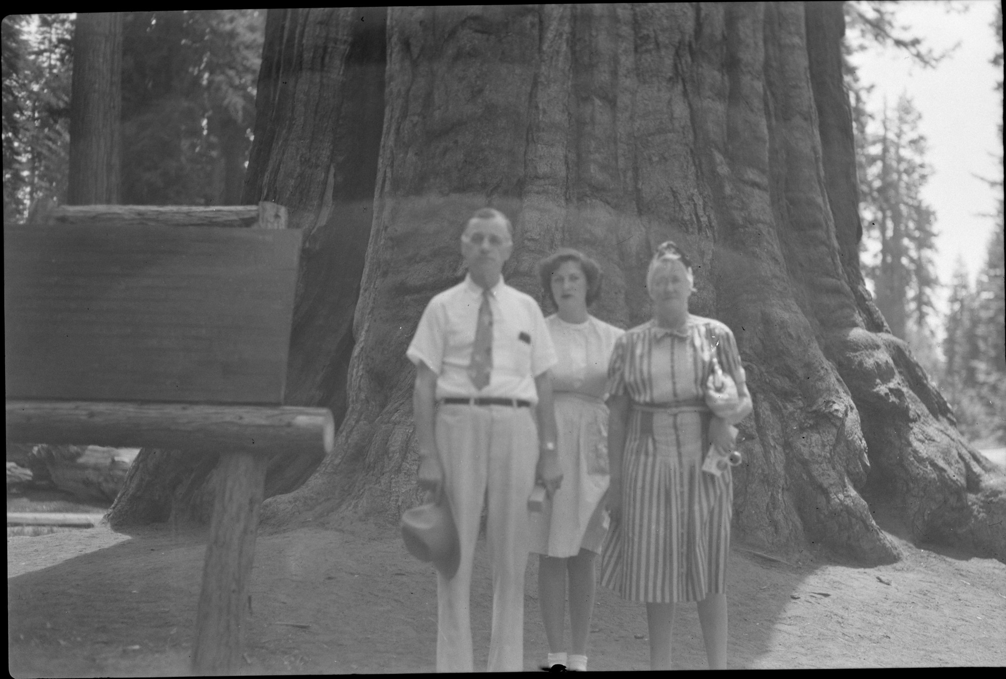Congressman Kirwan in Mariposa Grove.