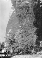 El Cap & Half Dome from new Big Oak Flat Rd. line; View from the new Big Oak Flat near Sta. 200 + 00