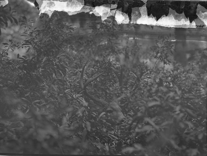 Yosemite National Park