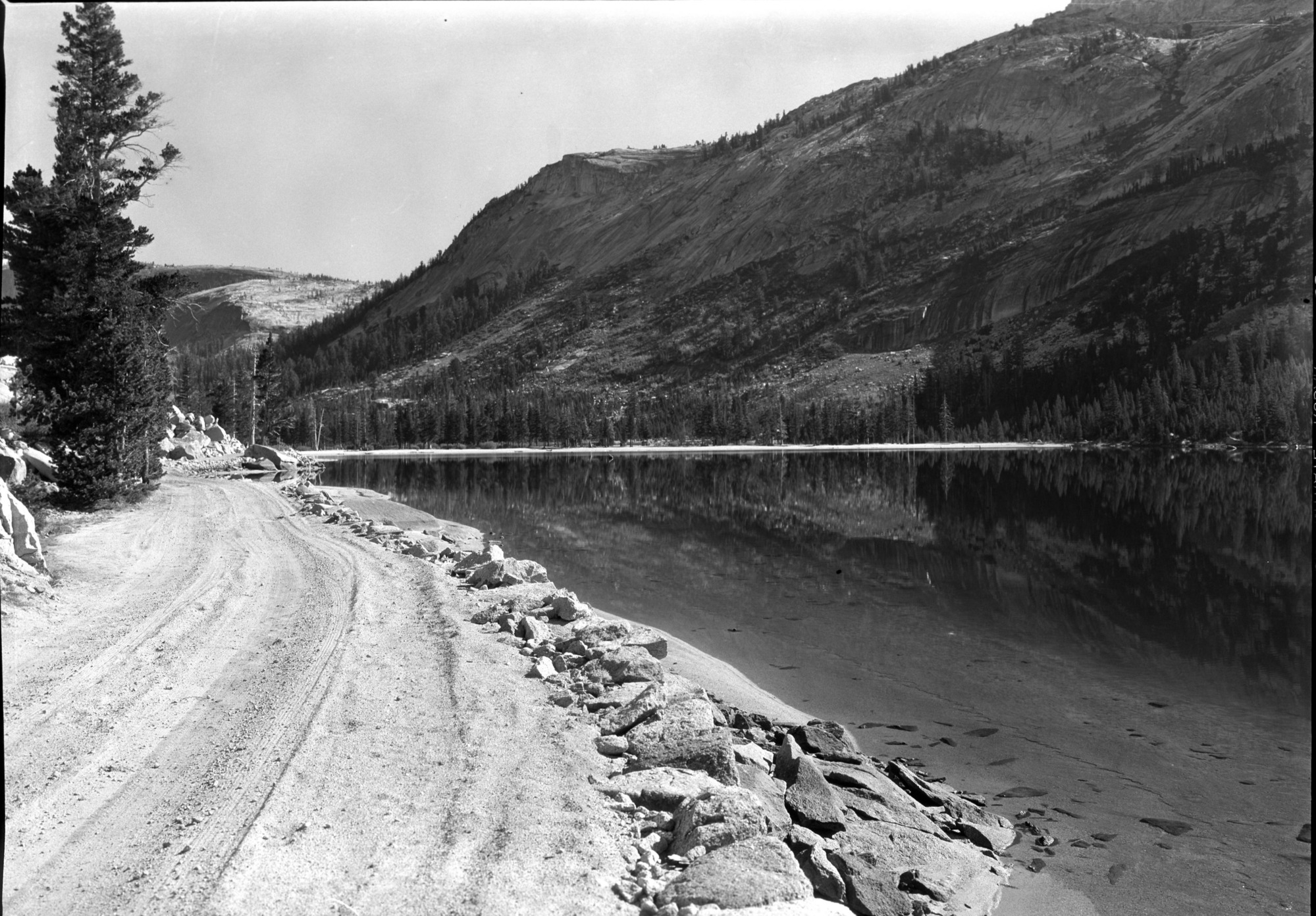 Along the side of Tenaya Lake.