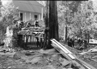Tearing down Big Tree room of Cedar Cottage.