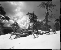 Storm scene at Tempo Dome near Badger Pass.