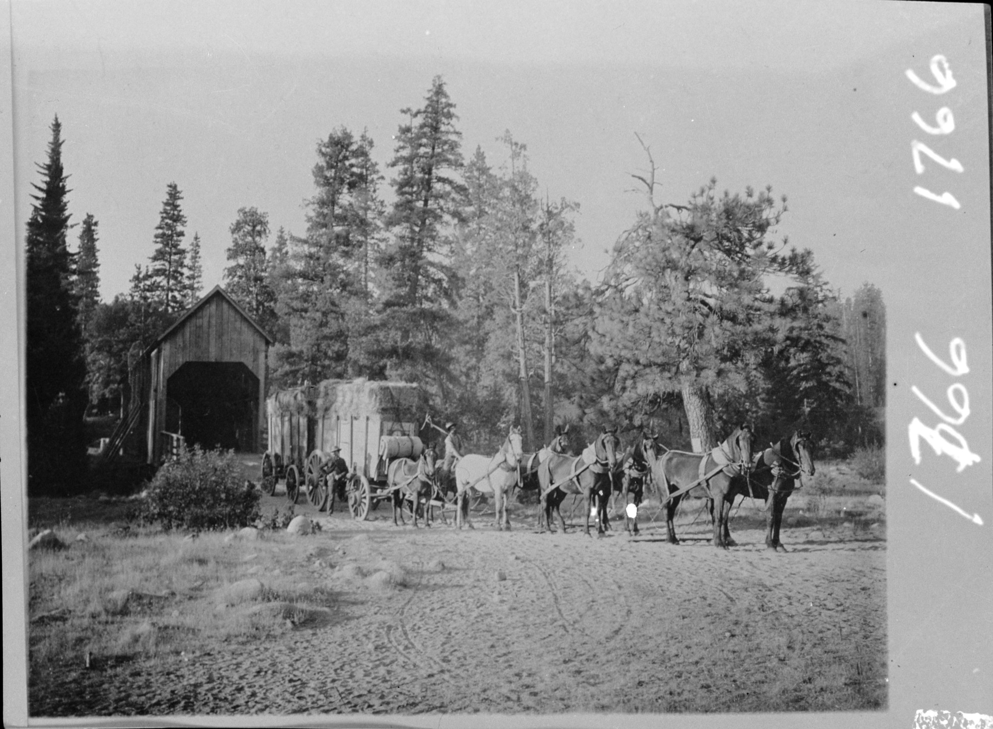Freighting to Yosemite in early days at Wawona Bridge