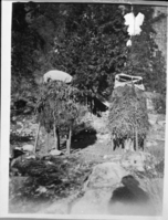 Chuck-ahs (acorn granaries) in Yosemite Valley