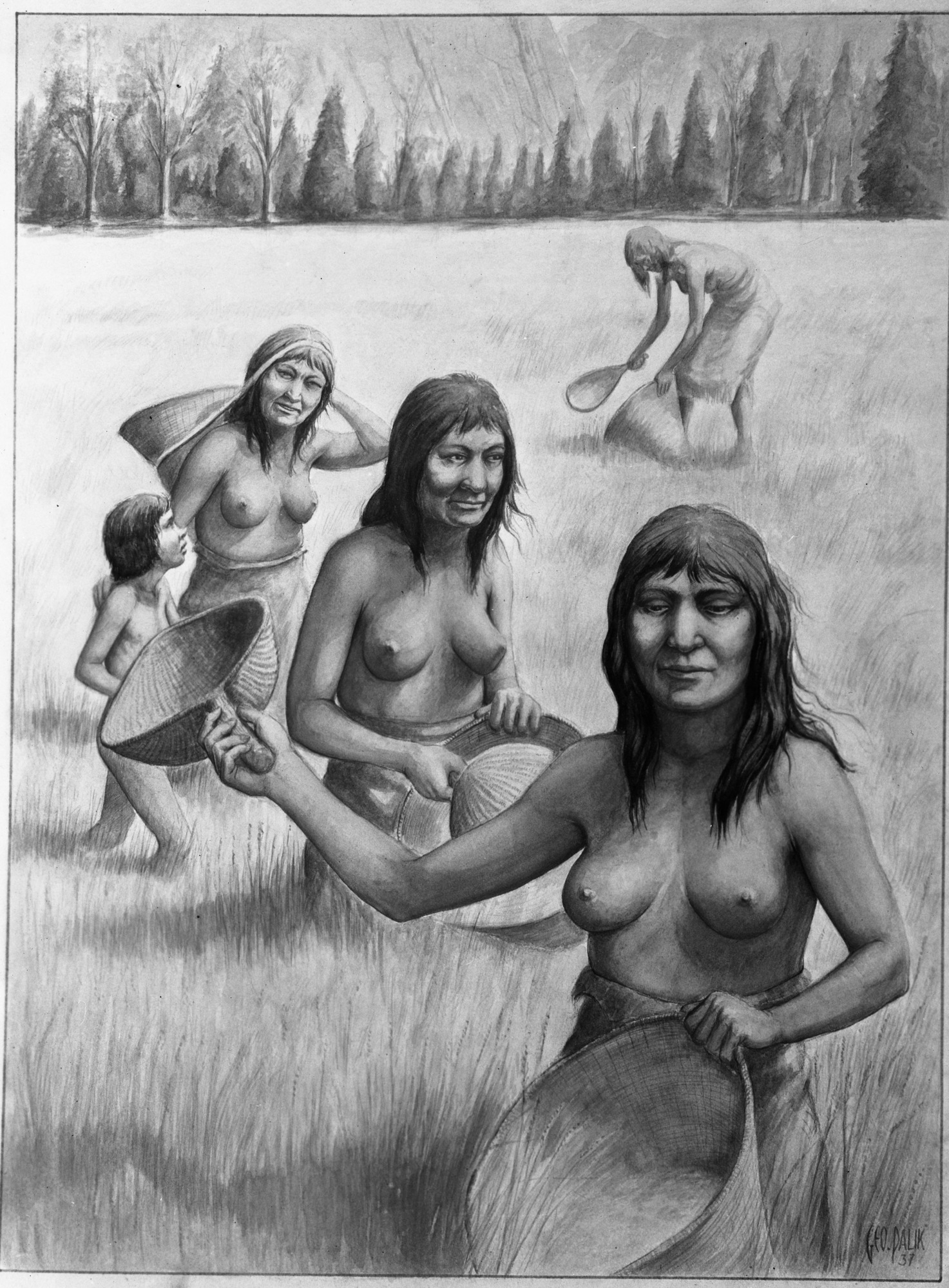 Gathering Seeds Copy of a watercolor painting by Palik in 1937. Copy Neg: Michael Floyd, May 1993.