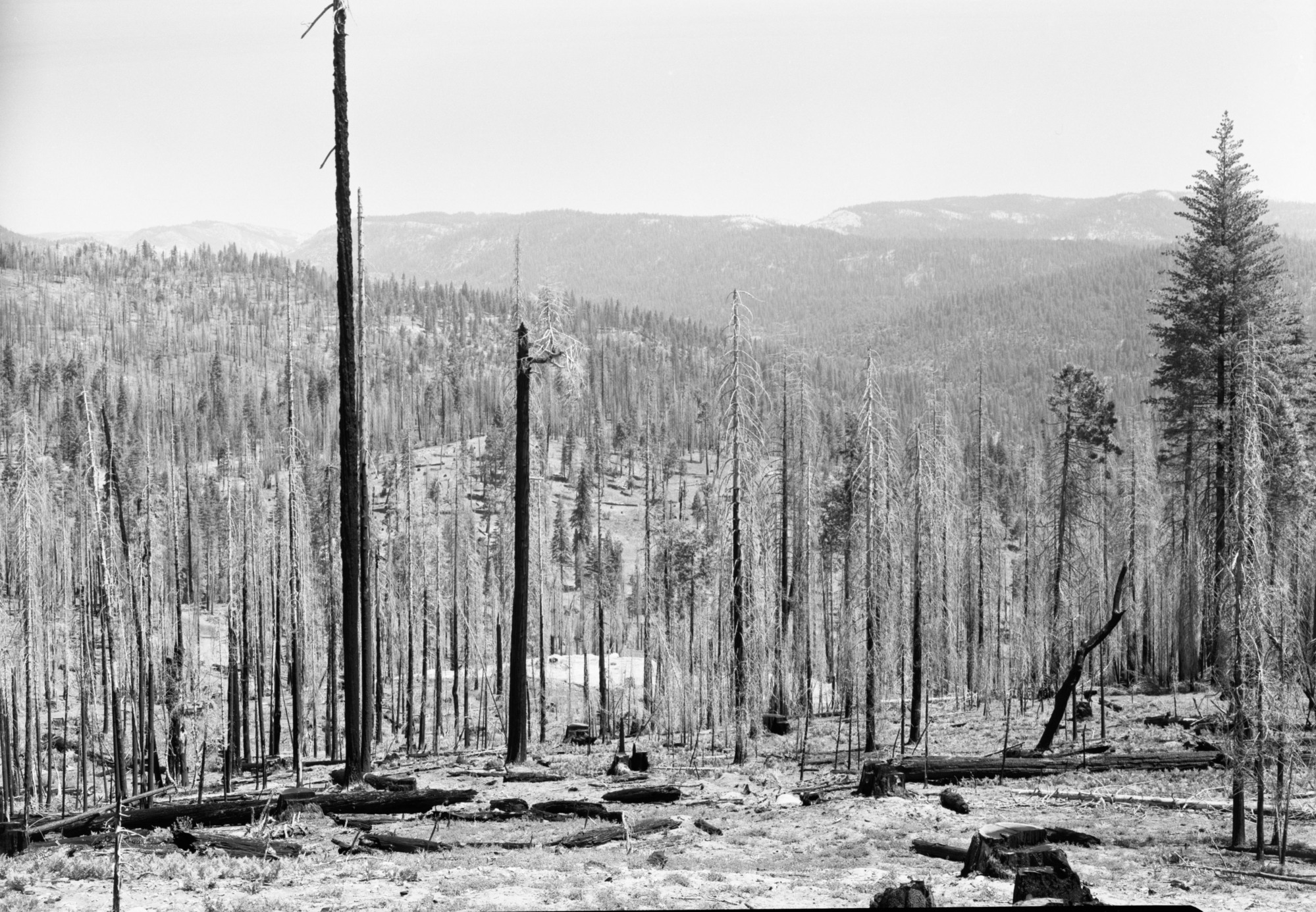 View of Cherry Valley from approach road shwooing gap in which dam will be constructed by City of San Francisco.