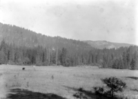 View of Big Meadow and Meyers Pass