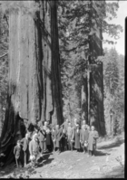 Congressional party under Big Tree in Tuolumne Grove. L-R: Spence boy; J.J. Phillips, S.F.; Cong. Richard J. Walsh, S.F.; Mrs. Welch, S.F.; Mrs. Brent Spence, Fort Thomas, KY; Senator James P.Pope, Idaho; Mrs. Edw. P. Costigan, Colo.; Senator Edw. P. Costigan, Colo.; Mrs. Thos. F. Ford, Los Angeles; J.A. Hourigan, S.F. (425 Mason St.); Cong. Thos. F. Ford, Los Angeles; Cong. Brent Spence, KY; Mrs. Phillips; Driver in back; Col. Dougherty, C.O. Army Transport Republic; Driver; Congr. Carden, KY