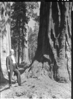 Judge A. A. Walter, Assist. Sec. of Interior, under Ickes.