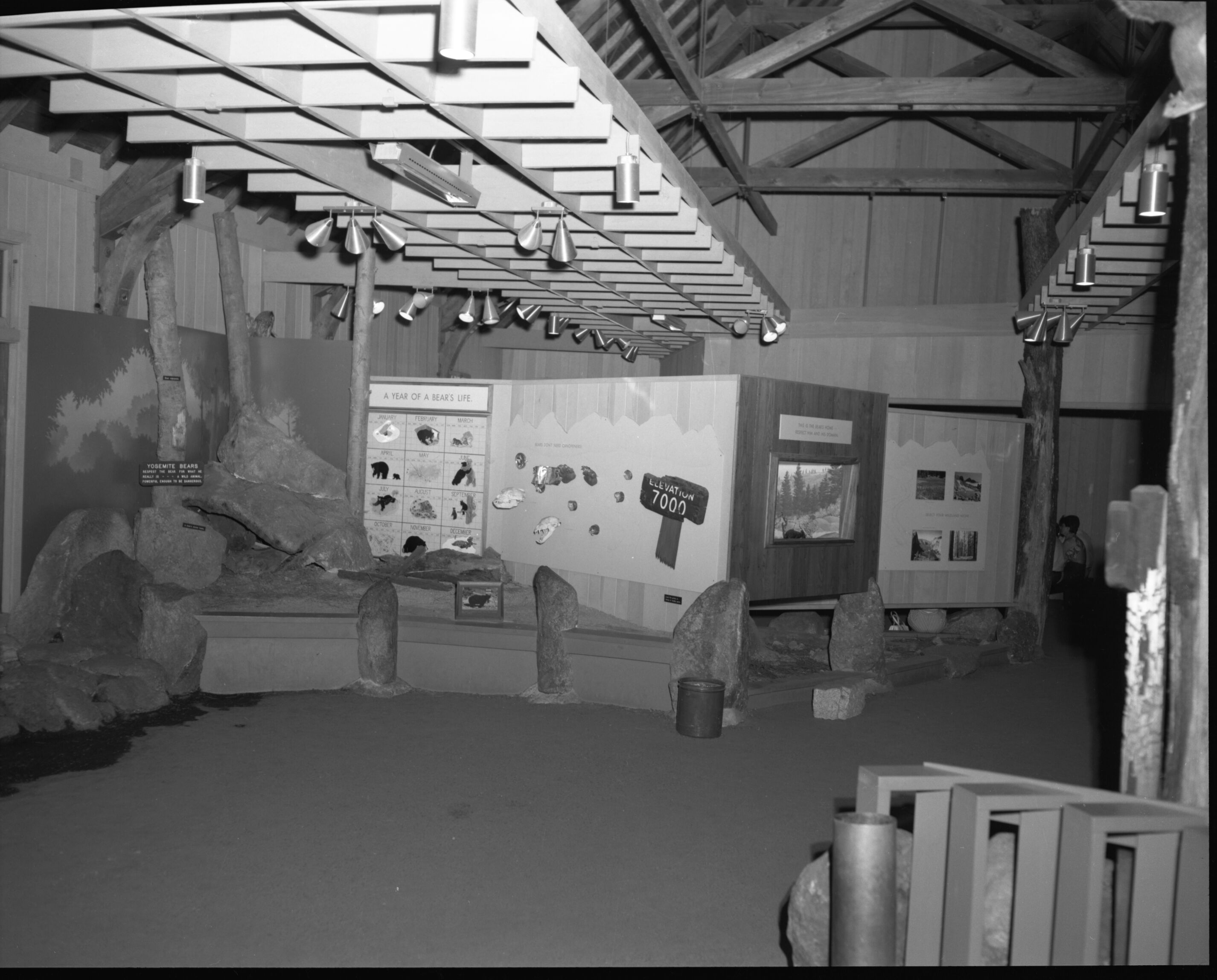 Happy Isles Nature Center - View of ramp to bear creek