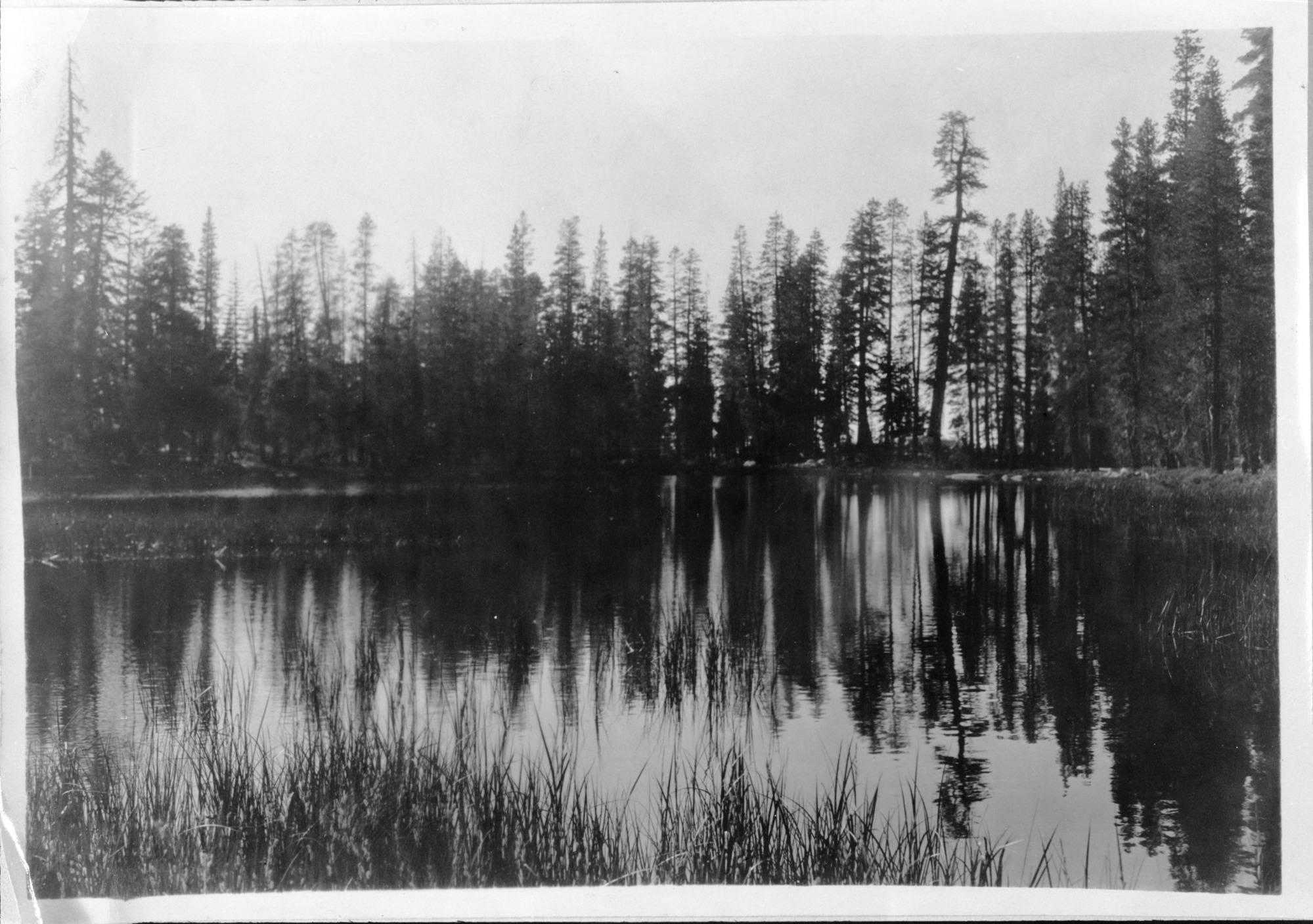 General view of the Lake located near the north boundary of the Research Reserve area.