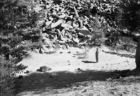Closeup of talus of broken posts with Ranger Jacobs.