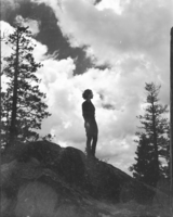 Girl and yellow pine tree