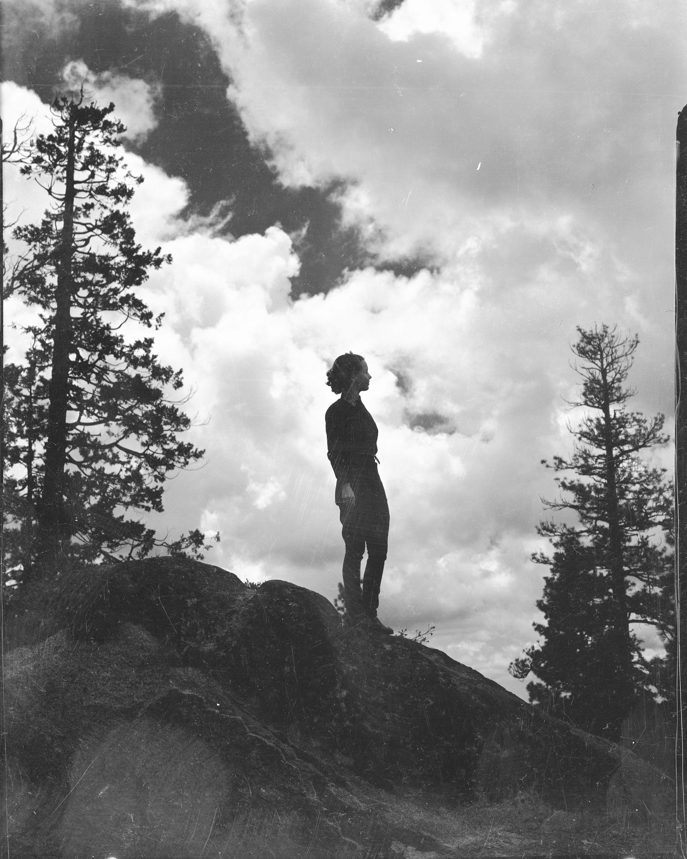 Girl and yellow pine tree