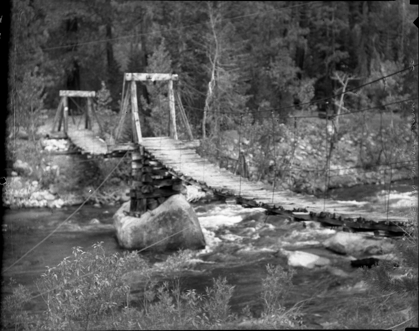 Sequioa National Park