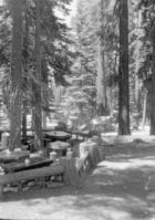 Outdoor eating place in Mariposa Grove.