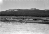 Private Lands Study. Sierra Club: View of meadow to the southeast taken from the knoll in front of the soda spring. The bridge is in the Tioga Road crossing the Tuolumne River. The first timber in the background in the middle, lodge-pole pine, is the major part of stand on the property.