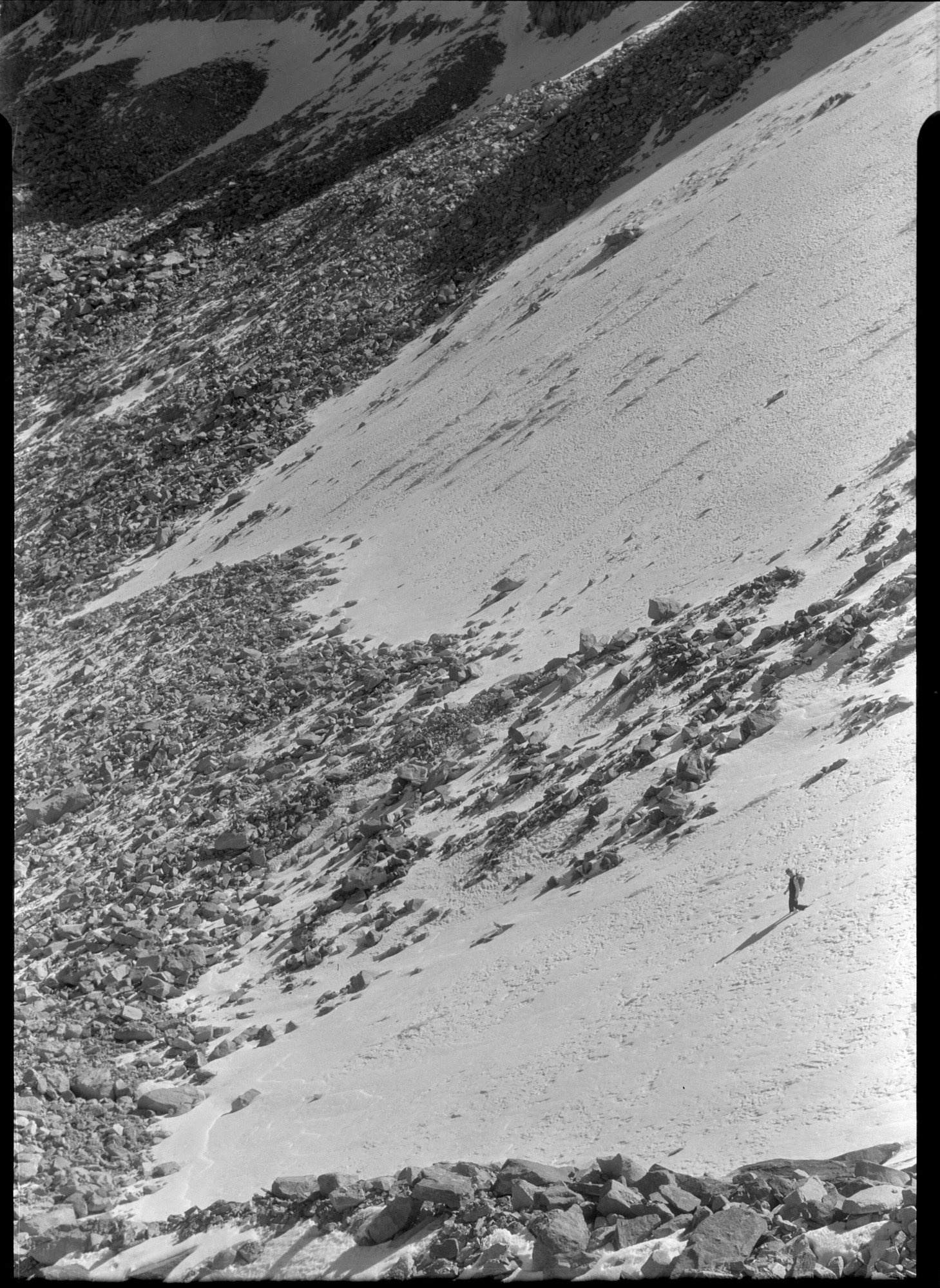 Lower Lobe of Lyell Glacier