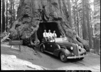 Congressional party in the Wawona Tree. L-R: Ben F. Jenson, Iowa; Albert E. Carter, Calif.; Michael Kirwin, Ohio; Wm. F. Norwell, Arkansas; Supt. Frank Kittredge; Wm. Warne, Dir. of Information