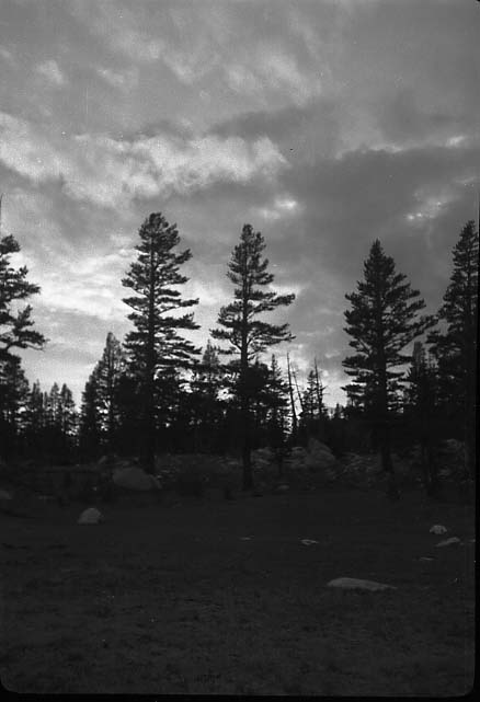 Joseph Dixon Collection