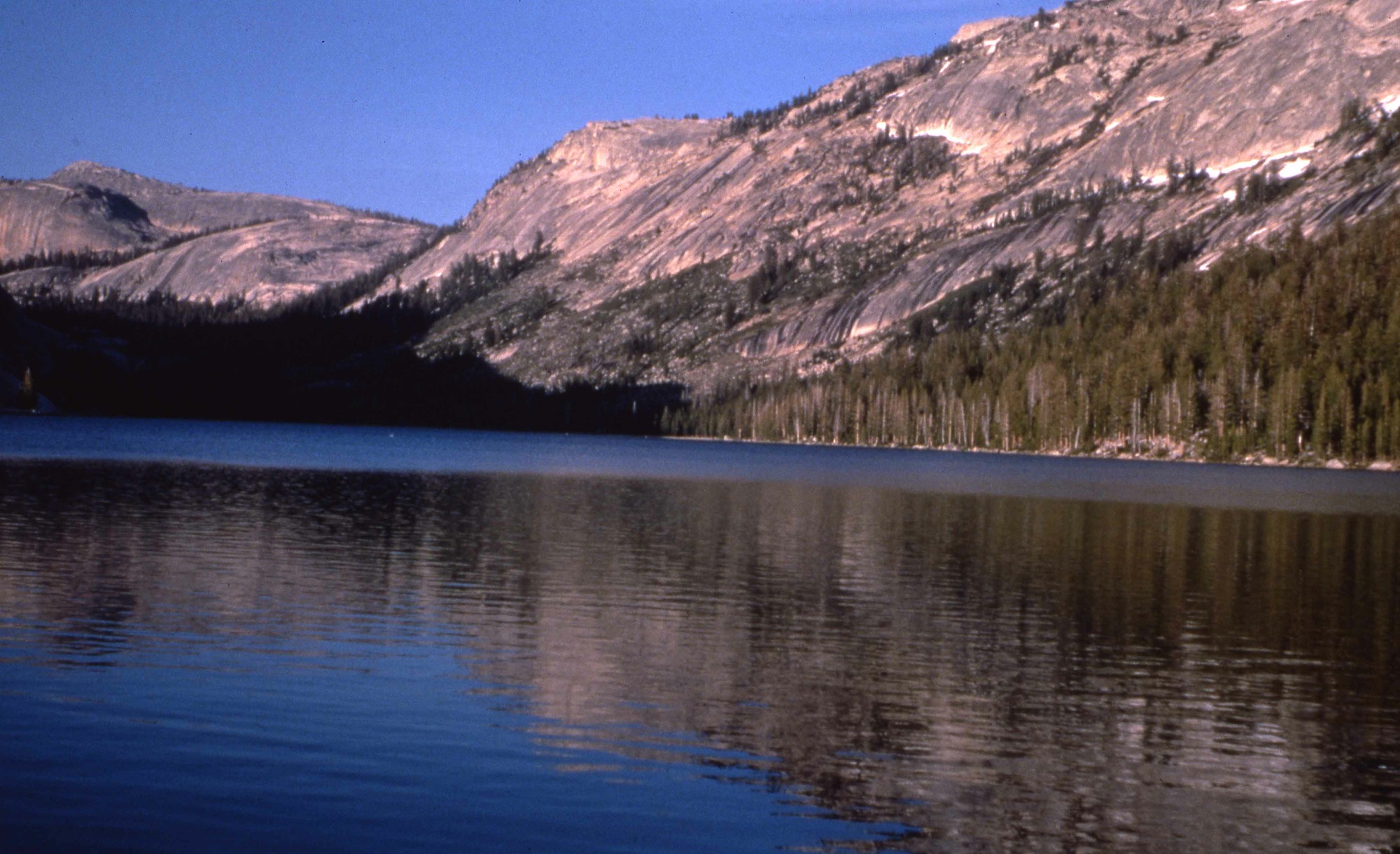 Tenaya Lake