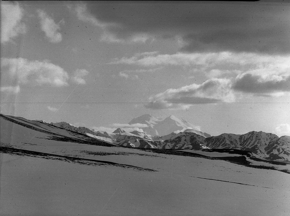 McKinley National Park